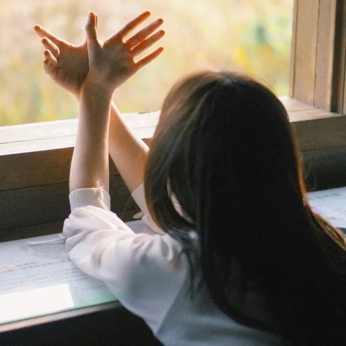 乐队的夏天第三季